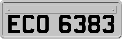 ECO6383