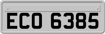 ECO6385