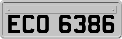 ECO6386