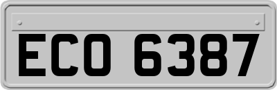ECO6387