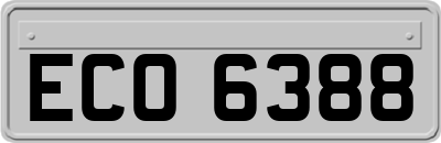 ECO6388