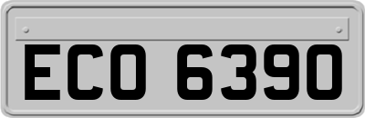 ECO6390