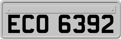 ECO6392