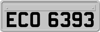 ECO6393