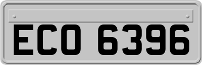 ECO6396