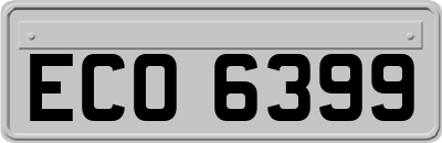 ECO6399
