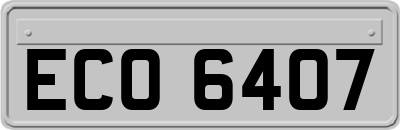 ECO6407