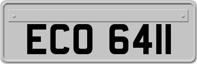 ECO6411