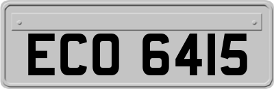 ECO6415
