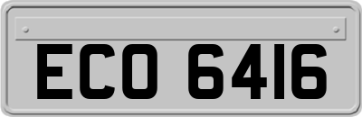 ECO6416