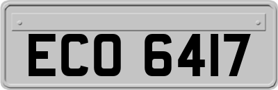 ECO6417