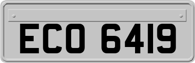 ECO6419