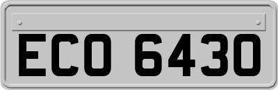 ECO6430