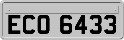 ECO6433