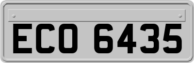 ECO6435