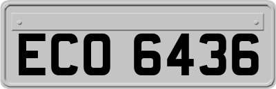 ECO6436