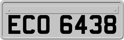ECO6438