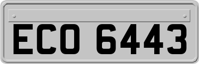 ECO6443