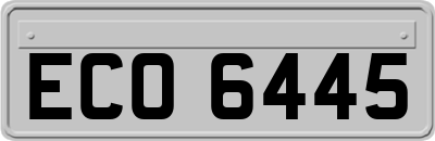 ECO6445