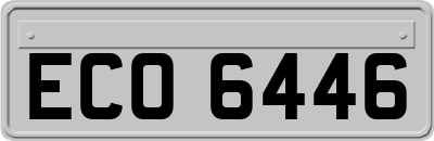 ECO6446