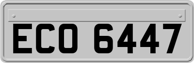 ECO6447