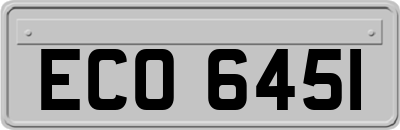 ECO6451