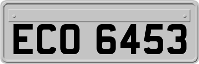 ECO6453