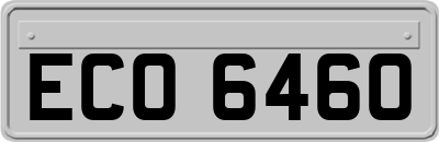 ECO6460