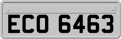 ECO6463
