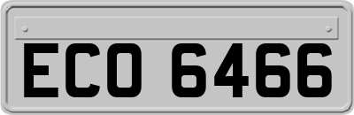 ECO6466