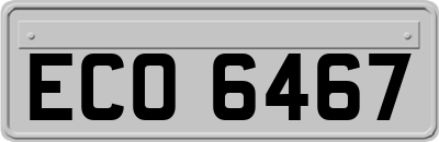 ECO6467
