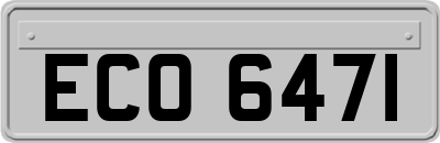 ECO6471