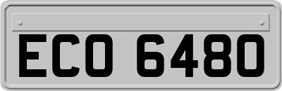 ECO6480
