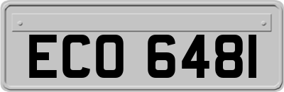 ECO6481