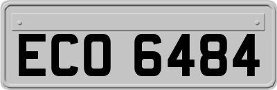 ECO6484