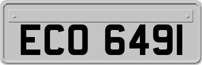 ECO6491