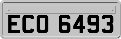 ECO6493