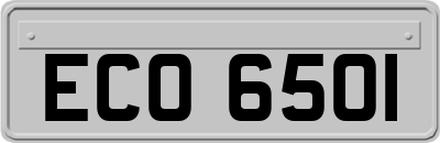 ECO6501