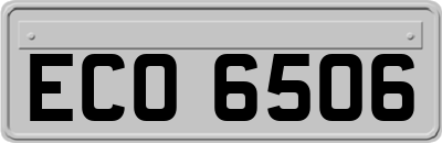 ECO6506