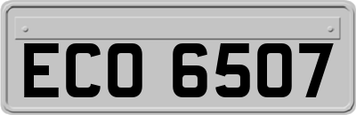 ECO6507