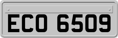 ECO6509