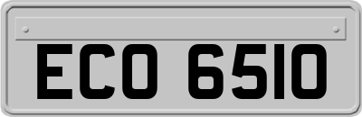 ECO6510