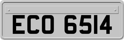 ECO6514