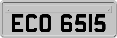ECO6515