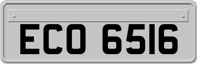 ECO6516