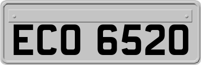 ECO6520