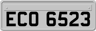 ECO6523