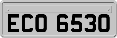 ECO6530
