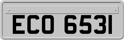 ECO6531