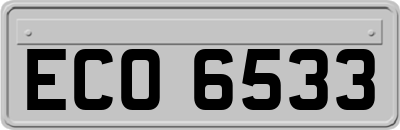 ECO6533